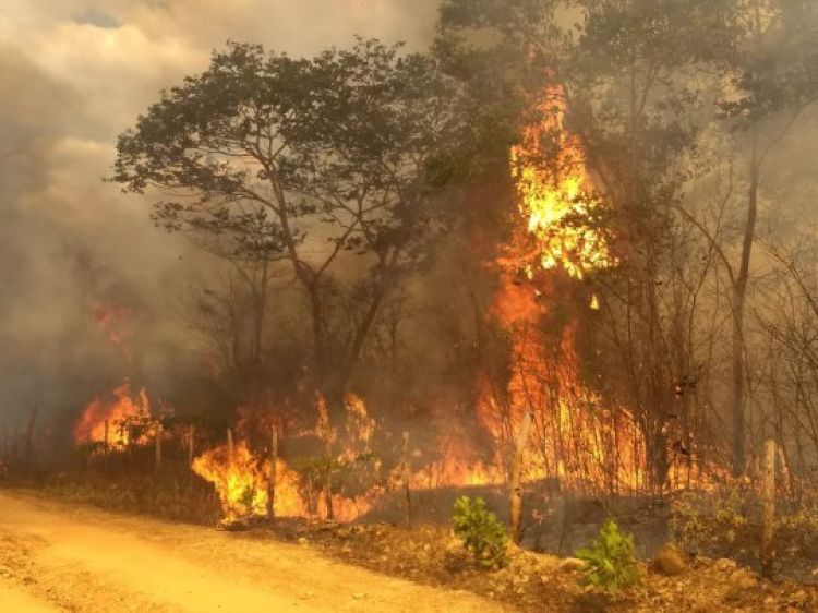 Fonte: Piripiri 40 Graus