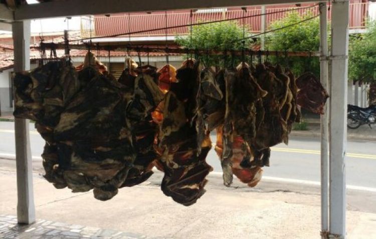 Foto: Domingos José e arquivo do Em Foco