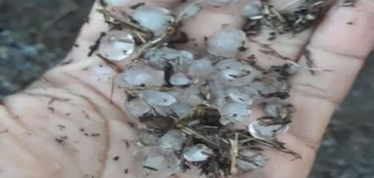 Fonte: Realidade em Foco