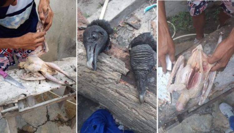 Fotos: Reprodução.