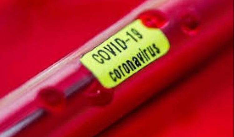 Com Informações: G1