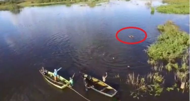 Com Informações: Portal Corrente 