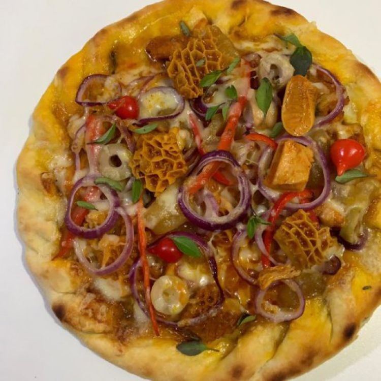 Com Informações: Meio Norte 