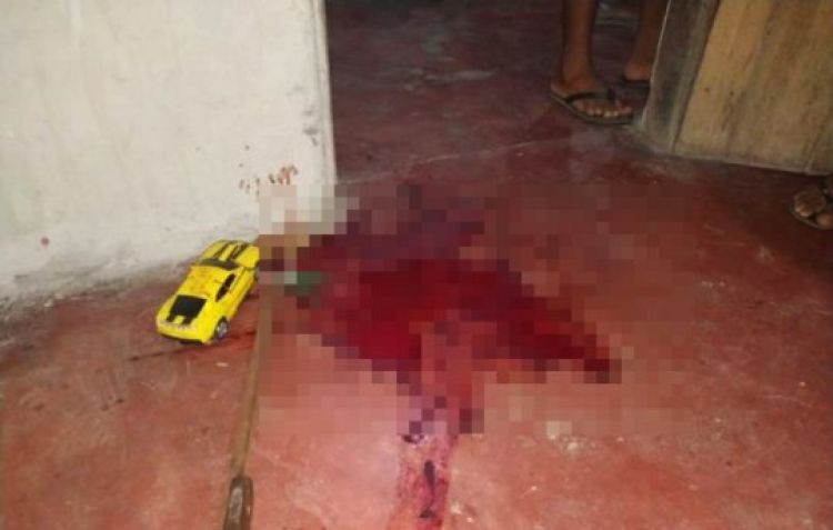 Com Informações: Meio Norte 