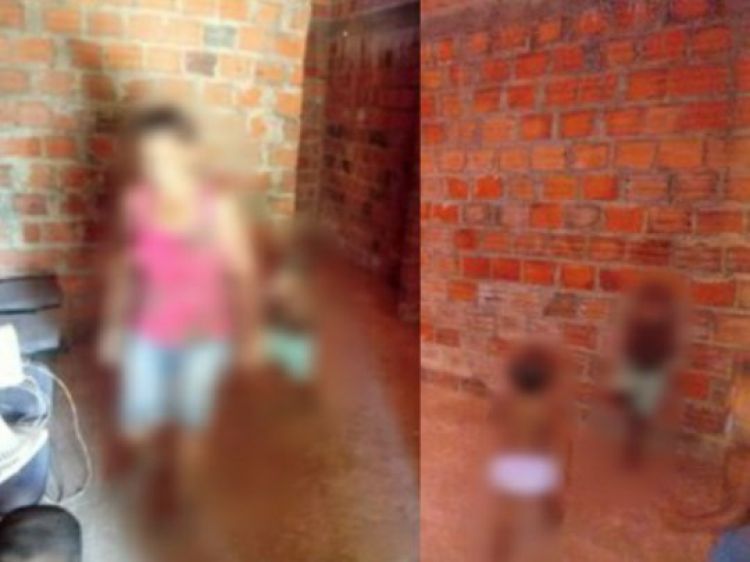 COM INFORMAÇÕES: GP1 PIAUÍ 