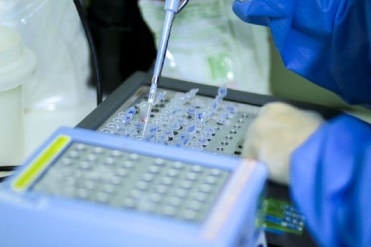 Com Informações: Cidade Verde