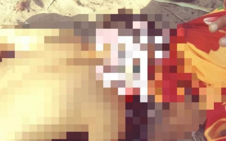 Com informações: Duscocais