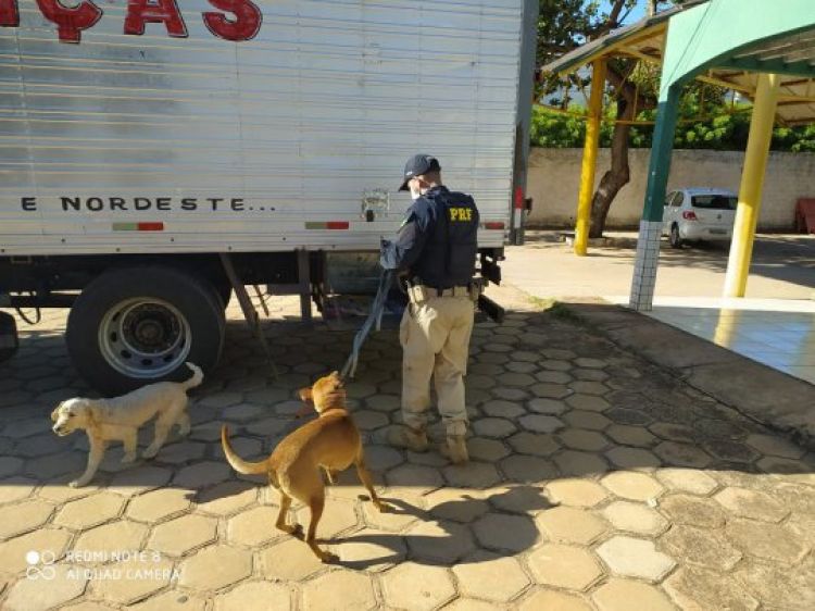 Com informações: O Dia 