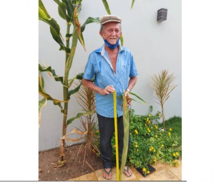 As informações são do Portal É Notícias.