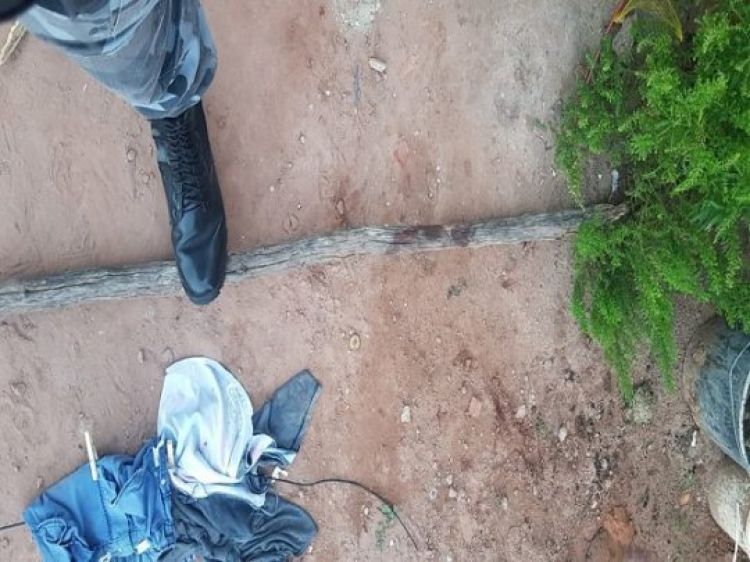 Com informações: Mural da Vila