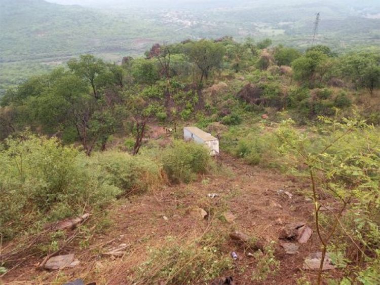 Com Informações: Cidade Verde