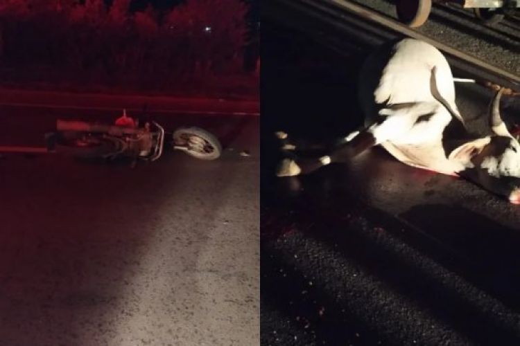 Com as informações do Mural da Vila