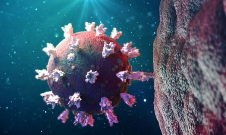 Imagem: Reprodução TV Globo