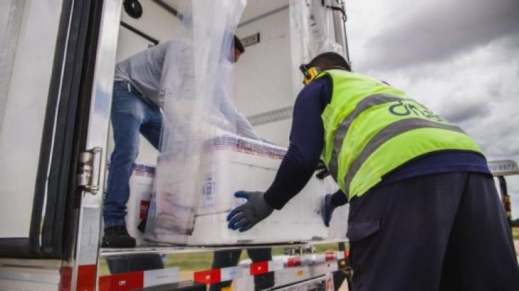 Com informações: SESAPI