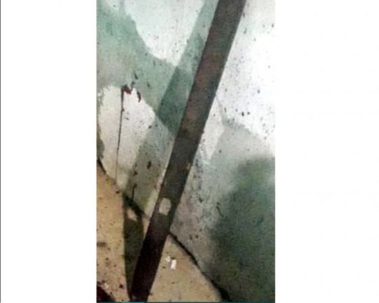 Com informações: Portal Mural da Vila