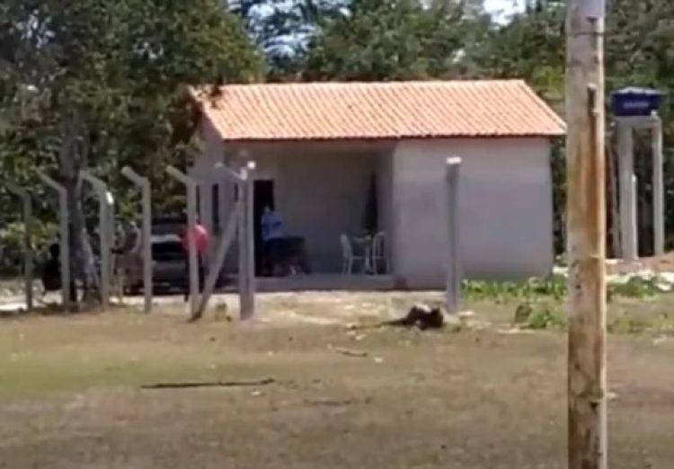 Com Informações: Meio Norte