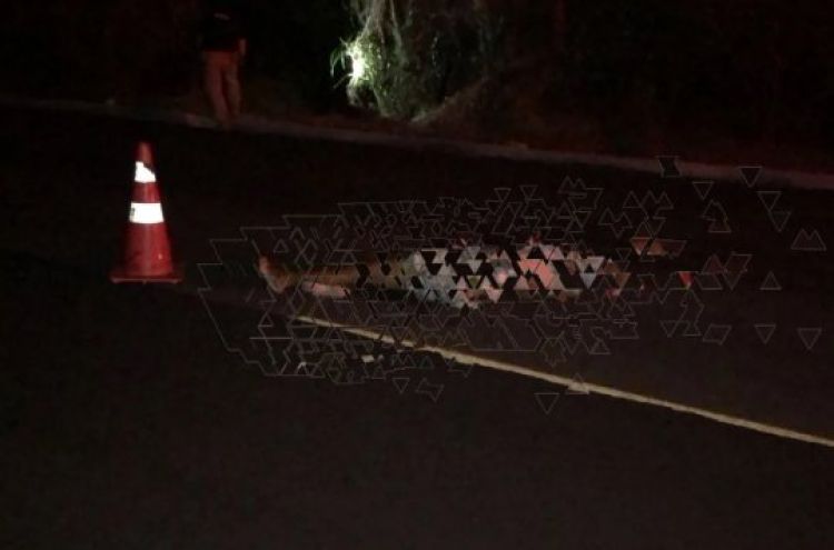 Com informações: Meio Norte