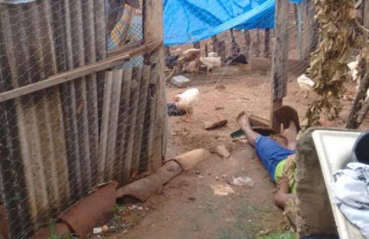 Com informações do Liberdade News