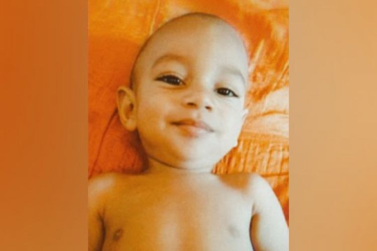 Imagem: Reprodução/RP50