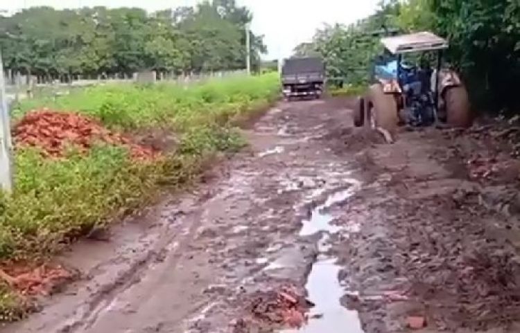 Imagem: Reprodução/Redes sociais 