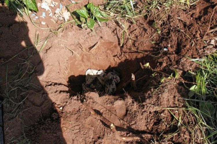 
FOTO ILUSTRAÇÃO
Crédito: Douglas
Direitos autorais: Jornal da Cidade de Bauru Ltda.