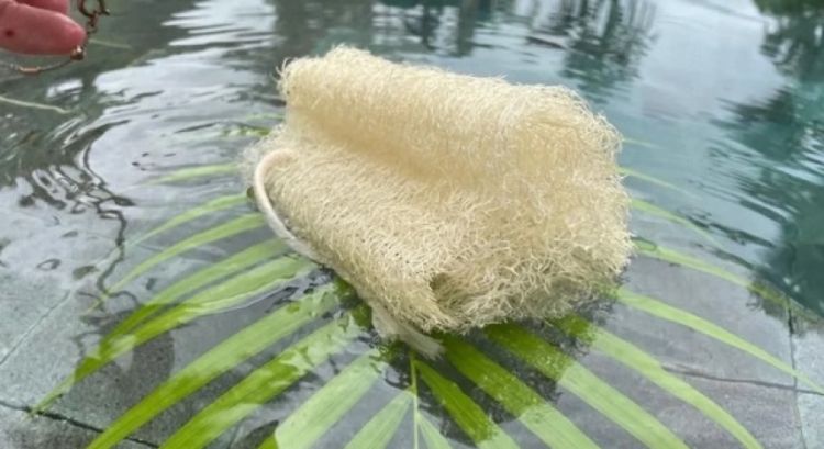 Foto: Divulgação/originalECO