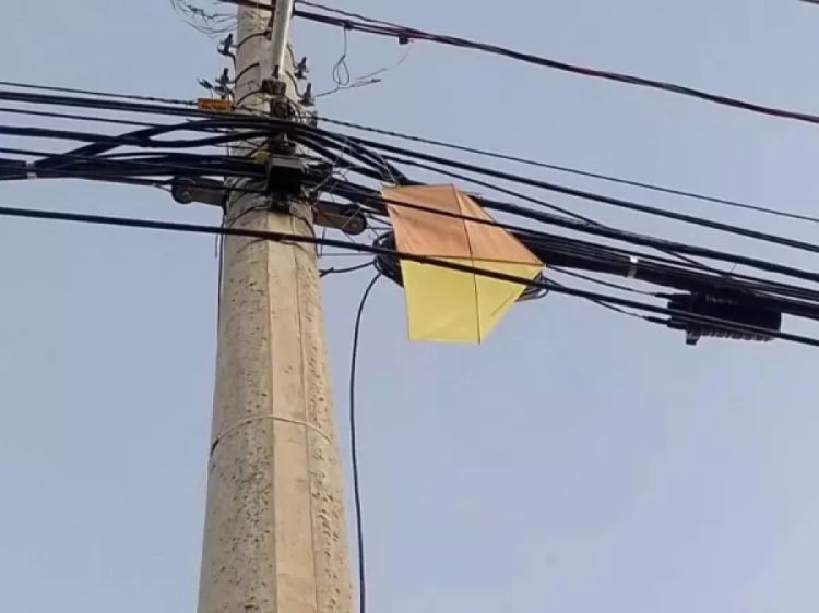 Defesa Civil do Piauí alerta população para os cuidados ao soltar pipas | Divulgação/Sedec