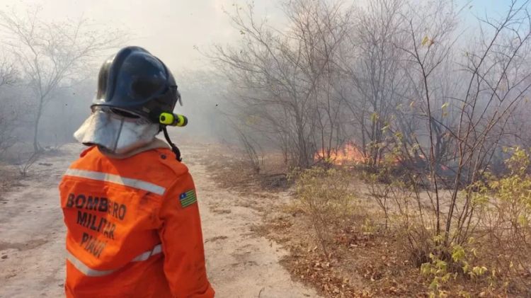 Banca divulga gabarito de prova do concurso do Corpo de Bombeiros do Piauí — Foto: Divulgação/Corpo de Bombeiros