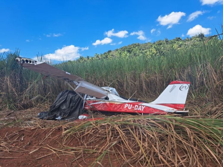 Foto: Reprodução/WhatsApp