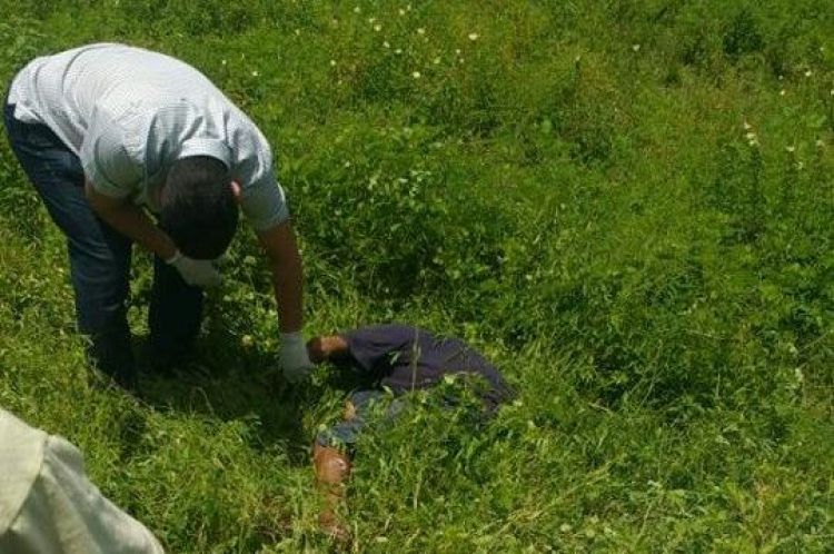 Foto: Reprodução WhatsApp