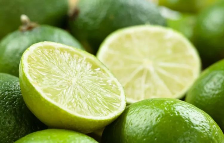 Foto: Imagem ilustrativa