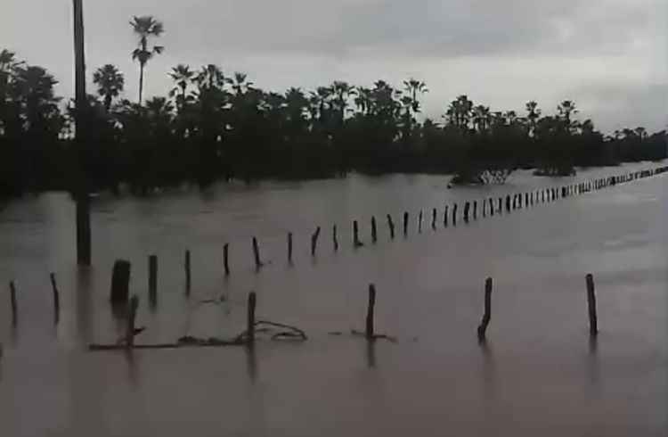 Reproduções/redes sociais  