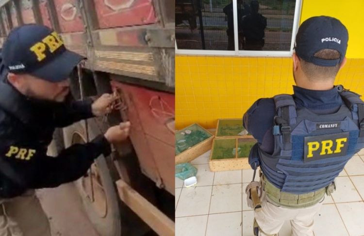 Foto: Divulgação/PRF   