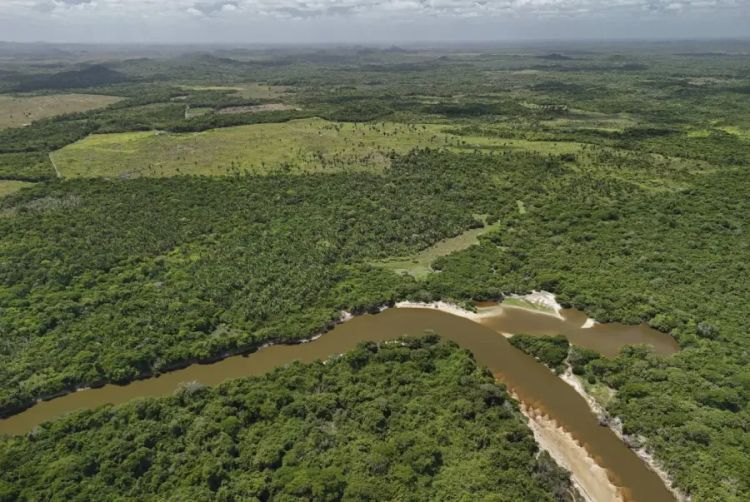 Imagem aérea registra desmatamento perto do Rio Turiaçu, em Pedro do Rosário (MA), na floresta amazônica, em agosto de 2024. Foto: Rubens Chaves/Folhapress