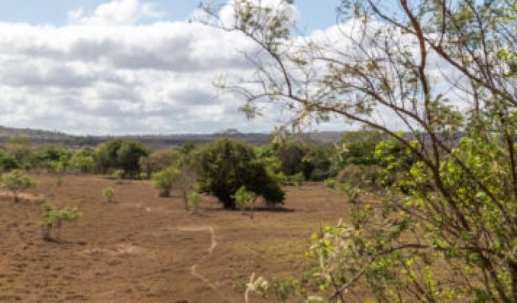 Foto: Reprodução/Igor Matias