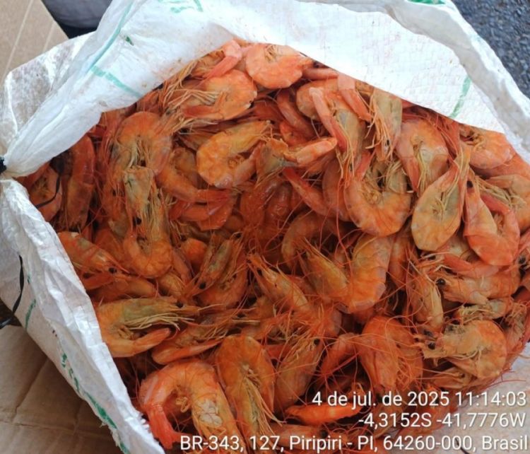 Foto: Divulgação/PRF 