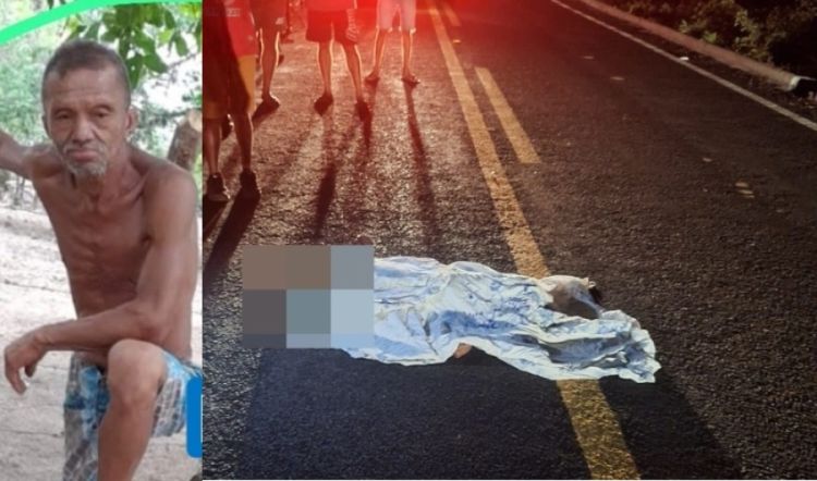 Fotos: RevistaAZ e divulgação