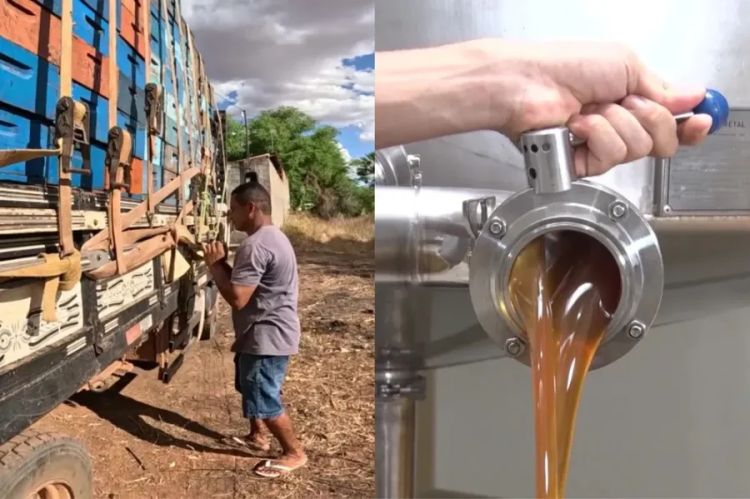 Foto: Sávio Magalhães/TV Clube