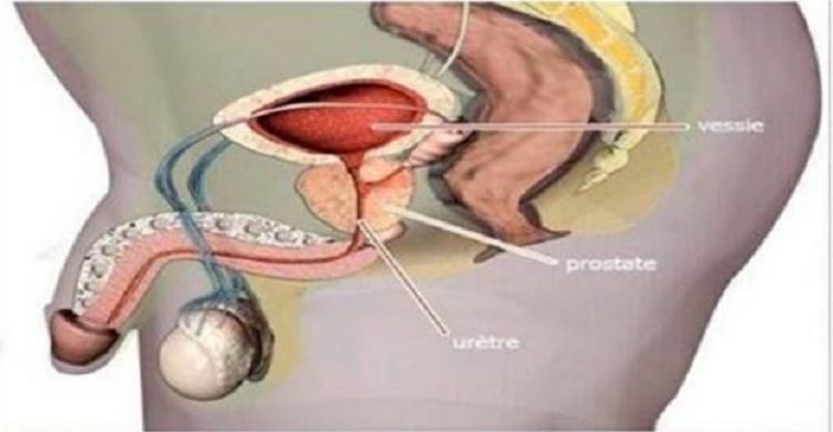 Fonte: curapelanatureza.com.br