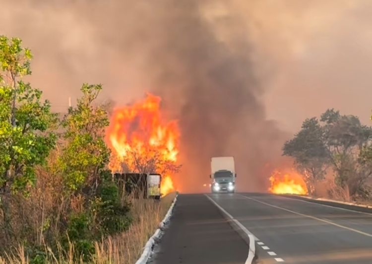 Incêndio na BR-343/ Foto: Campo Maior Em Foco 