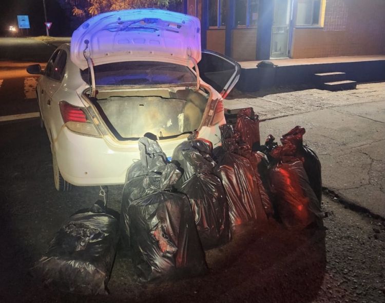 Foto: Divulgação/PRF-PI