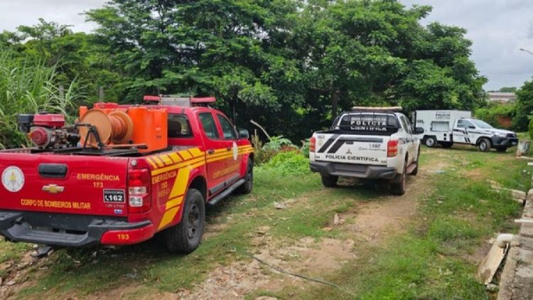 Foto: Luana Fontenele