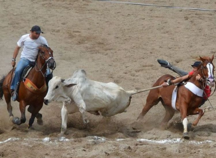 Com informações da Agência Senado