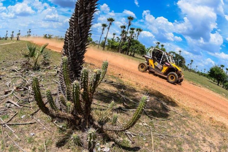 Por Beto Marques/Assessoria