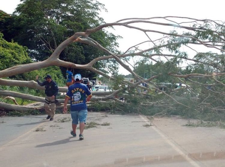 Fonte: CidadeVerde. Fotos: WhatsApp