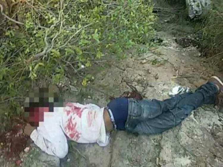 Fotos: WhatsApp. Com informações do Viagora 