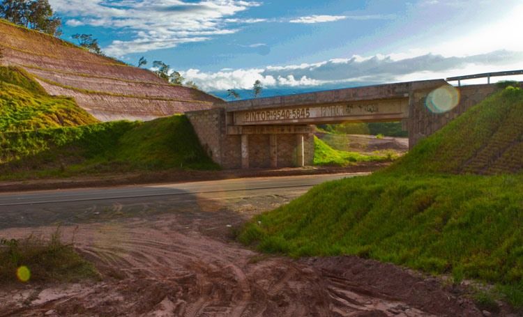 Fonte: CCOM/cidadeverde