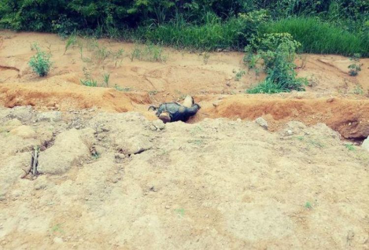 Com informações do Meio Norte