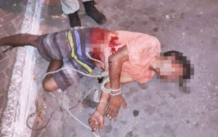 Com informações Catita