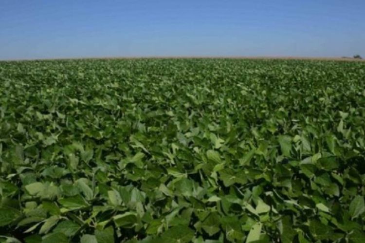 Fonte: Veja / Imagem ilustrativa